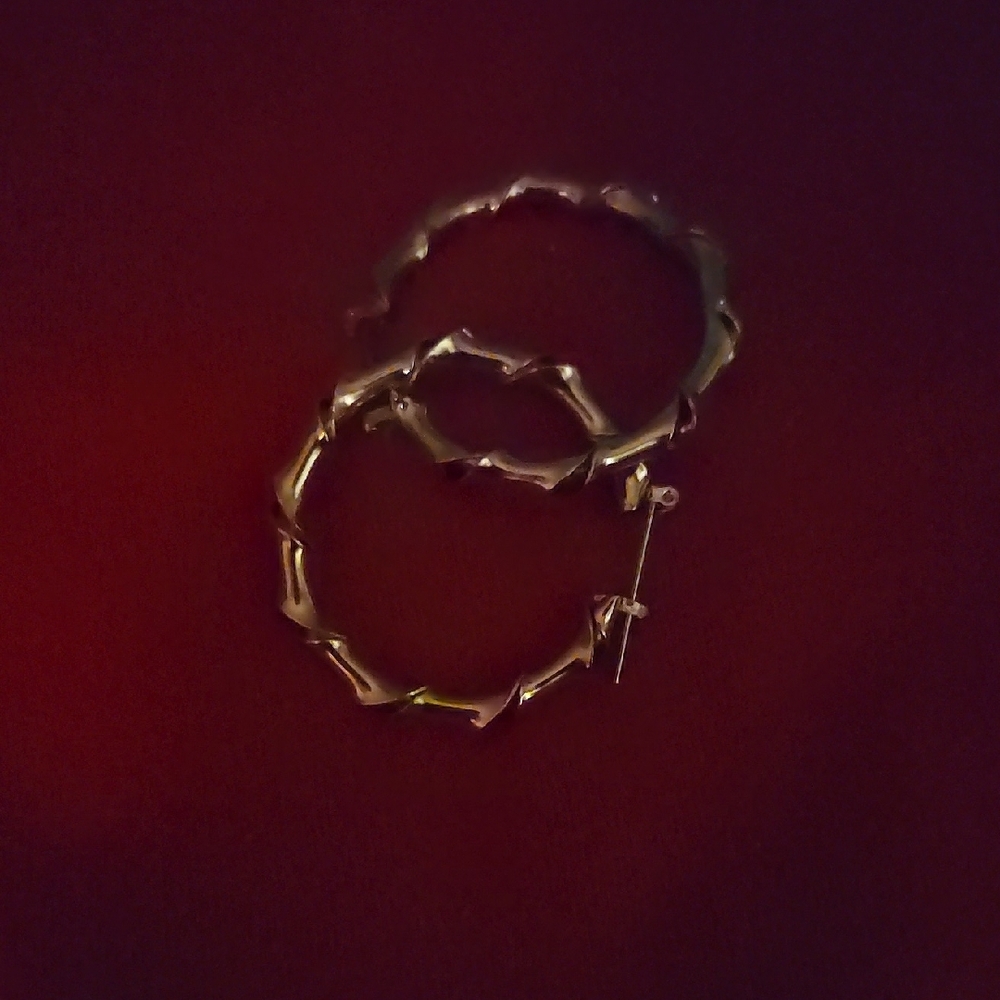 Gold Hoop Earrings